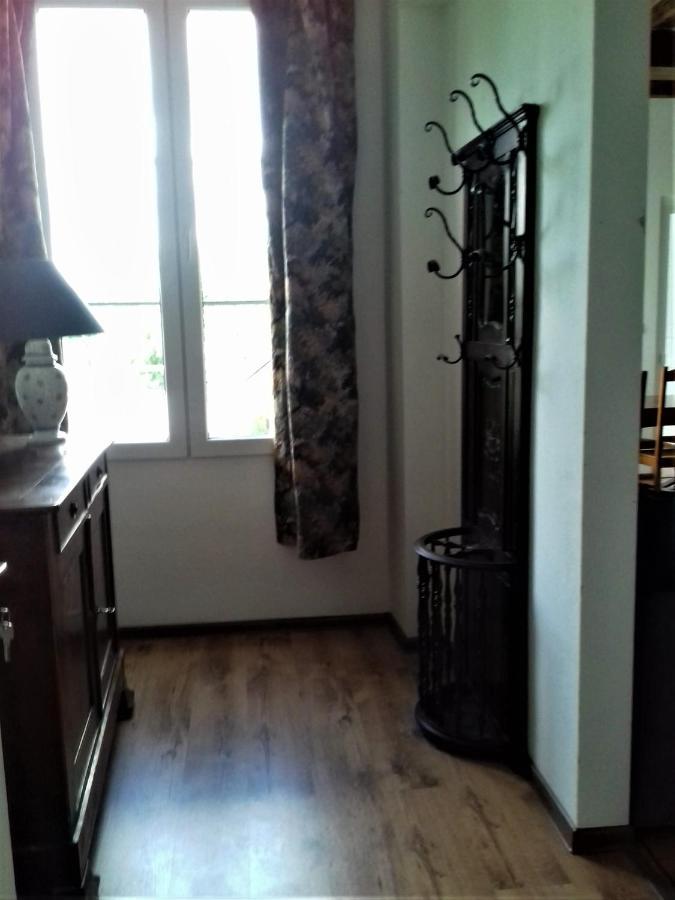 סומור Vue Sur Chateau Et Loire מראה חיצוני תמונה